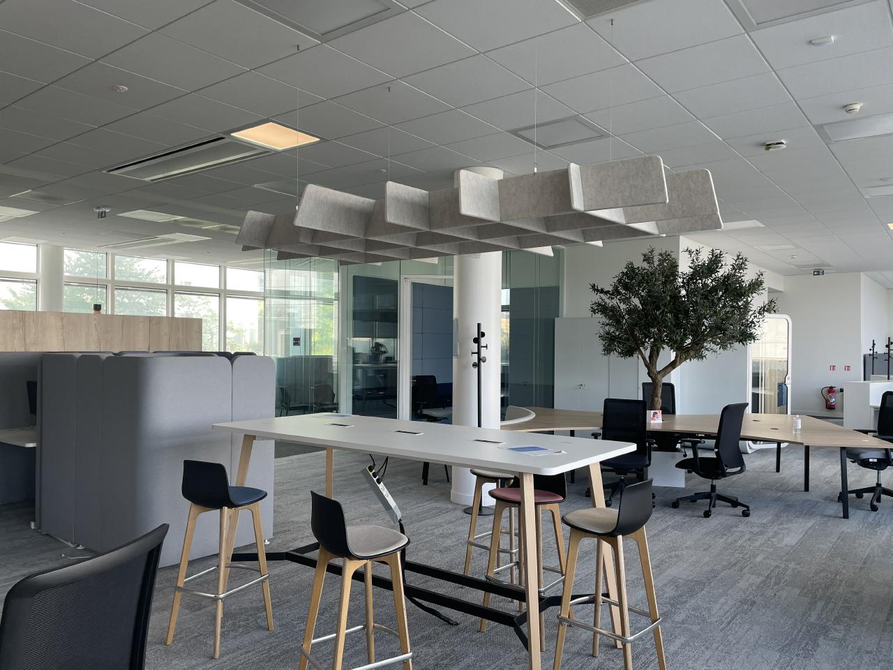 Bureau Tremblay-en-France 5000m² Location bureau Tremblay-en-France Seine-Saint-Denis OLBUR2313660 7